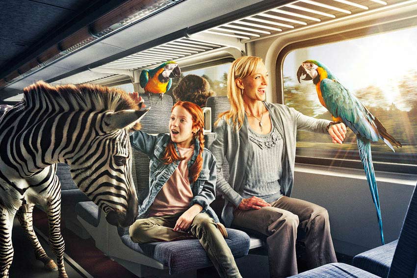 数据驱动决策的在线超级轰炸电话网页版